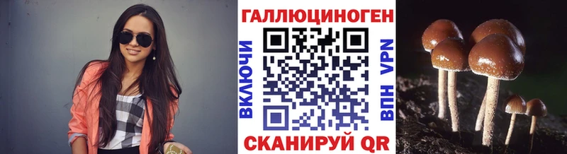 где купить наркоту  Вихоревка  Галлюциногенные грибы мицелий 